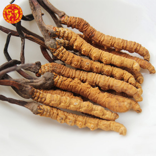  【非凤即龙】冬虫夏草正品 正宗野生 西藏那曲虫草 2条一克 包邮