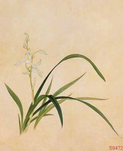 楓橋夜泊 蘇繡刺繡DIY初學套件花鳥 贈壹對壹視頻在類目 居家布藝, 刺繡套件, 蘇繡中 - 來自Buy2taobao.com提供專業的淘寶代購服務