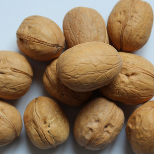  新货 核桃 皮薄 新疆特产 坚果零食特产干货 新疆纸皮核桃750