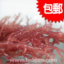 女刊力荐 顶级南极血珊瑚草 高胶原蛋白调经补血 500克包邮