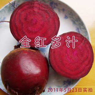  新鲜蔬菜水果 有机甜菜根 红菜头 纯红多汁 基地直供