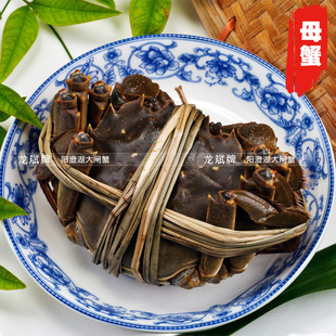  淘金币 抢购 龙斌阳澄湖大闸蟹戴防伪戒 单只母蟹2.5-2.7