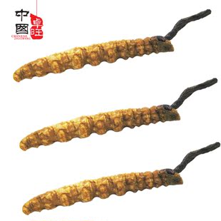  卓旺 四川冬虫夏草 川草虫草 2支=1克=49元 满20克送礼盒包邮