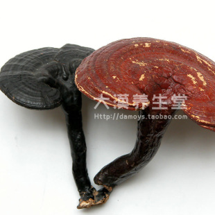  云南正品野生灵芝 黑芝  紫芝 灵芝片 礼盒装 灵芝孢子粉