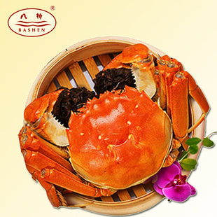  正宗阳澄湖大闸蟹 公3.4-3.7母2.4-2.7两 8只加1元多2只 现货直销