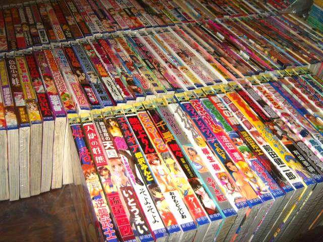 漫画/动漫小说,长鸿全新正版 [太阳花冠]全一册