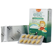 新西兰进口 童聪牛初乳软胶囊 提高抵抗力　至高性价比　　
