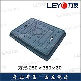 复合材料井盖水沟盖污水井盖雨水井盖方形井盖250*350*30在类目 基础建材, 其它基础建材, 井盖中 - 来自Buy2taobao.com提供专业的淘宝代购服务