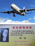 taobao english 2184352399