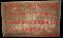 黄粉虫幼虫、小虫&mdash;&mdash;小蝎子、小蜈蚣专用，1cm、1.5cm