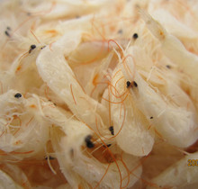 特价 虾皮 小虾米 新鲜 咸淡适中 干净 江浙沪鲁满50元 包邮 250g