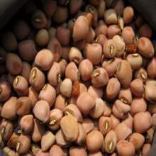 猴子豆 农家自产 豆 煮粥很好吃 杂粮 农产品 250克