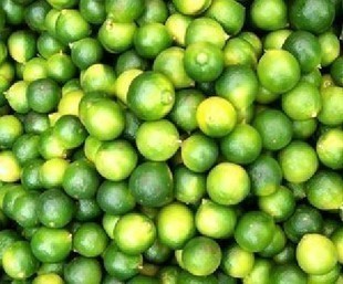  新鲜水果 海南青金桔/青柠檬茶原料/冰桔茶 1斤 10斤起江浙沪包邮