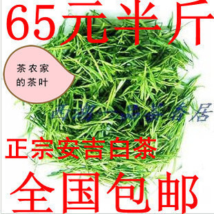  年新茶正宗安吉白茶 抗辐射高山有机绿茶 珍惜白茶 茶农批发