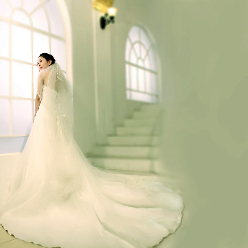 +wedding+dresses+elegant+with+big+tail+wedding+dress