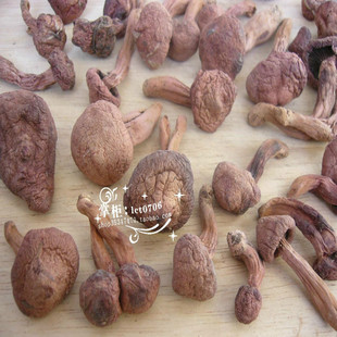  皇冠 大兴安岭野生红蘑 松树伞蘑 小蘑菇芽东北特产干货 一斤包邮