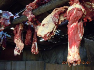  香格里拉 高原野外放养新鲜牦牛肉 牛肉后腿肉 有机食品 20斤起