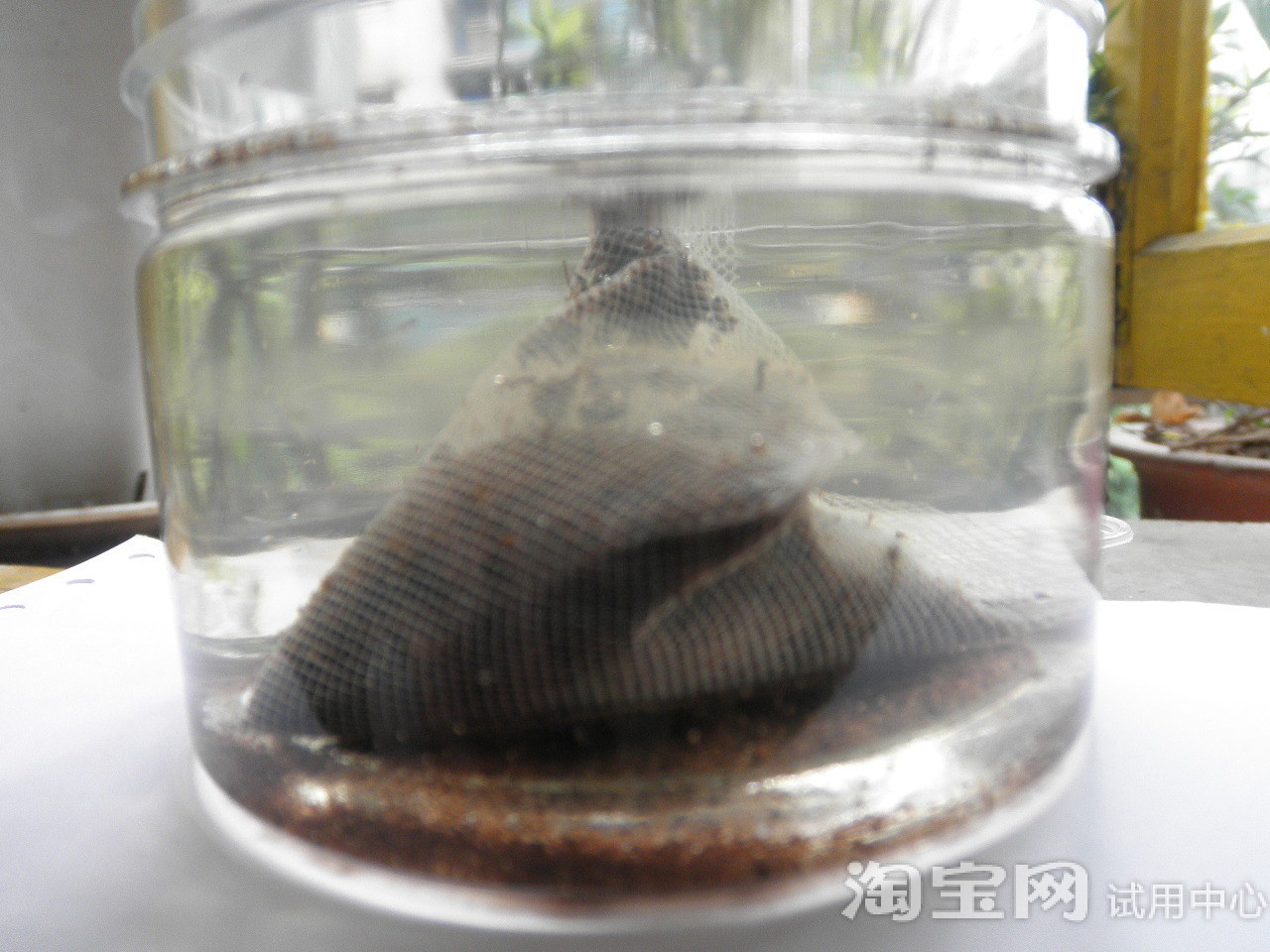 爱教案鱼,魔法鱼魔法,音乐鱼教学案例,魔法生养小学听小学生图片