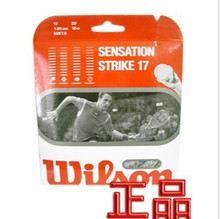 专柜正品wilson Sensation Strike Squash String专业壁球线