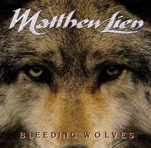 Matthew Lien马修.连恩音乐,13专辑-1DVD ape flac
