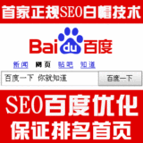 百度排名首页 seo优化 网站推广 网站优化 搜狗 百度推广 SEO团队