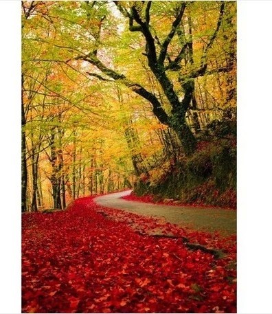 0.01自动发货好评手机电脑壁纸一毛钱待机图片