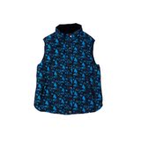 2012反季清仓新款波司登羽绒服专柜正品女式背心BR2024