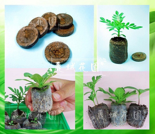 【Jiffy挪威进口育苗块30mm】播种育苗扦插用/操作简单方便G4|ruв категории доставка цветов/цветок моделирования/растения садоводства, садовых принадлежностей, домашнее садоводство удобрений/питательной почвы/питательный раствор - от Buy2taobao.com для оказания профессиональной услуги покупки агента Taobao