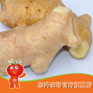  农场直供_东升生姜_青菜调味品 生姜调配料_东升品质保证（300g）