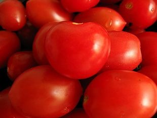  vfruit品质保证新鲜时令水果 海南红圣女果 小番茄3kg/箱限北京