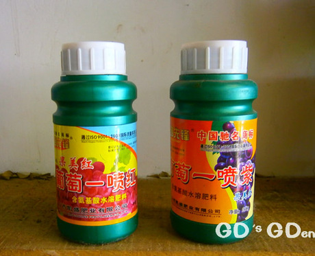 咕咚家 园艺 探路先锋 葡萄一喷紫 果美红 葡萄