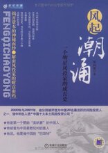 满29元包邮正版风起潮涌 /张向荣