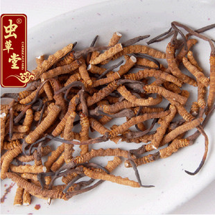  【义兴恭】那曲冬虫夏草西藏断草同仁堂级别小断草虫草可打纯粉
