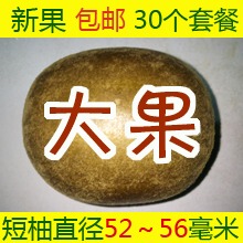 罗汉果 大果 包邮 桂林永福 罗汉果茶 咽炎 新鲜 新果 内含30个