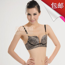 【B121】●最新爆款●甜美日系深U爆乳豹纹聚拢文胸〓70-80AB