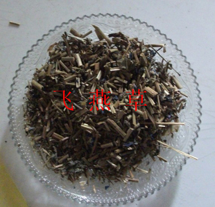  中药材飞燕草 大花飞燕草 干鸟草 纯正品 500克
