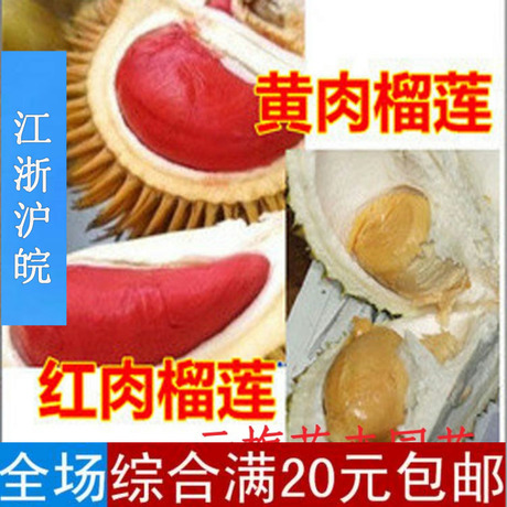 庭院盆栽地栽果树苗木 水果树苗 泰国金枕头 榴