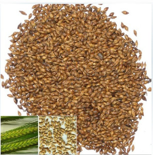  纯有机大麦茶  养胃  养颜  助消化  无添加物50克 /1.6元