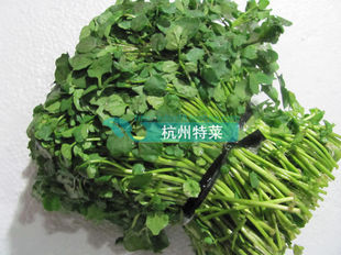 新鲜蔬菜 新鲜西洋菜 3斤装 广东产地清燥润肺、化痰止咳、利尿