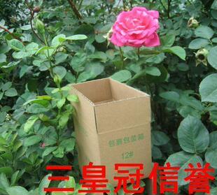 ★四皇冠信誉★超低价◆普质◆邮政纸箱/包装纸箱子纸盒子12#三层