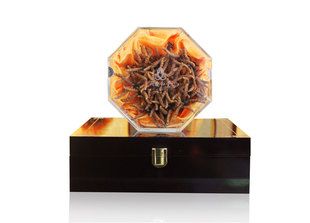  同庆和堂 王中王极级冬虫夏草2.2条/克 青海玉树特产100g礼盒装