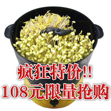 正品 巧夫人 豆芽机QFR-A801 家用 全自动发豆芽机 智能 恒温