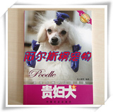 taobao english 14183137475