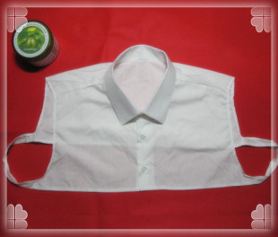 三地沙龙请问魔帅,毛主席参加陈毅追悼会时候