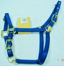 特价包邮清货 马术用具 马笼头 马笼套 马头套 马绳 宽25mm