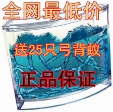 蚂蚁工坊 蚂蚁宫房 蚂蚁工房 家园 送25只弓背蚁 最低折12.5元