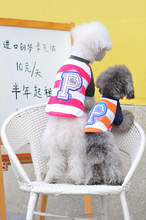 2012春夏日本道格petsinn 弹力运动衫 泰迪 宠物衣服狗衣服