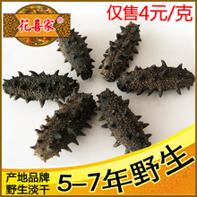〖花喜家〗至尊淡干无盐海参 刺参干货 5-7年真正野生 50克200元