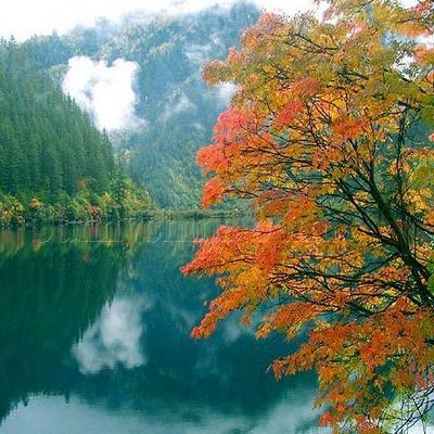 九寨天堂 九寨沟自由行旅游 九寨天堂3日游含2早1晚 各地出发均可 九寨天堂 九寨沟自由行旅游 九寨天堂3日游含2早1晚 各地出发均可