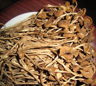  广东土特产特级茶树菇南北干货散装食用菌满100元送灵芝一棵